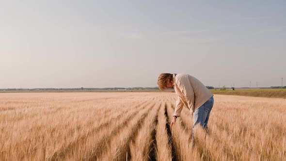 Farmer Working on Wheat Field