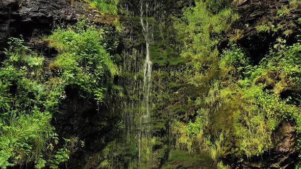 Clean Small Waterfall in the Forest