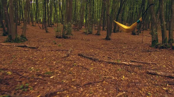 Zooming into a hammock in the woods - glide cam