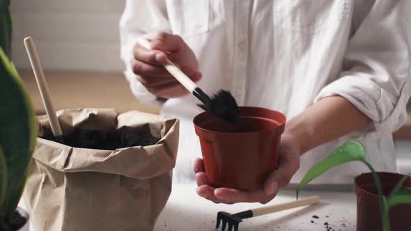 Planting Flowers, Plants At Home. Home Gardening. Female Gardener Pours Soil In Pot. Preparation