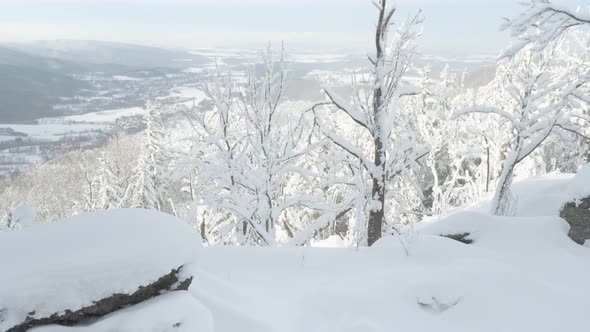 A Snowcovered Hilly Winter Landscape with Woods  Top View