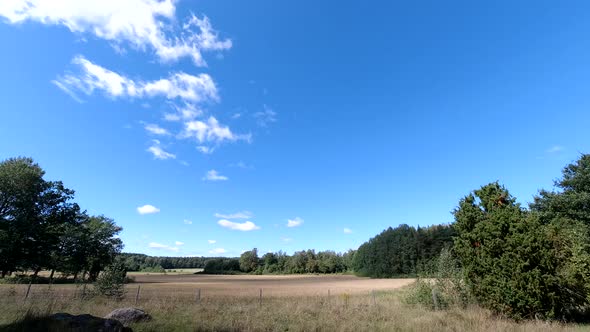 Time lapse landscape fluffy cloud sky flowing on natural forest on morning