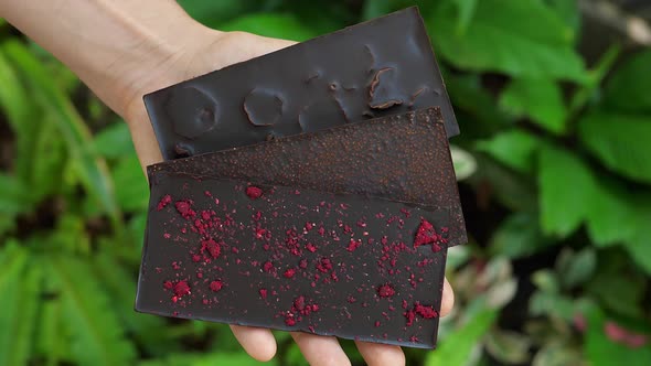 Three Chocolate Bars with Different Flavors in the Human Hand with Blurry Green Plants in the