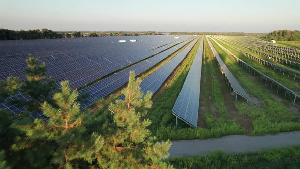 Aerial View of Solar Farm on the Green Field at Sunset Time Solar Panels in Row