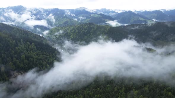 Fog in the Mountains. Slow Motion. Carpathians. Ukraine. Aerial.