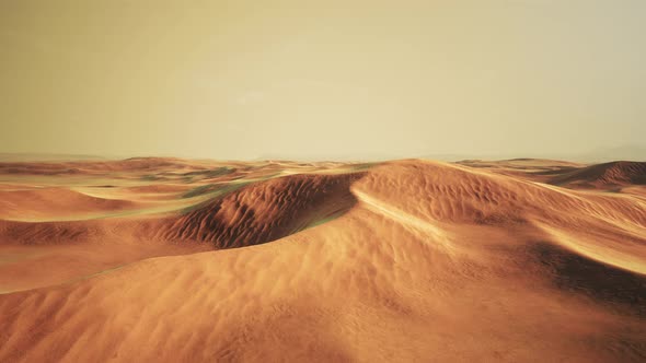 Empty Quarter Desert Dunes at Liwa