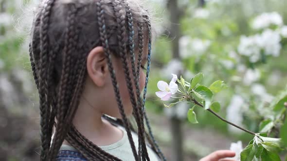 Preteen Girl Enjoying Blooming Apple Garden in Spring Relax and Freedom Beauty of Nature
