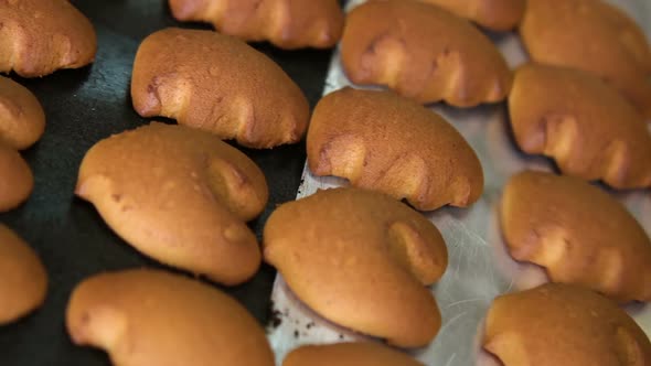 Fresh Biscuits Made in the Factory