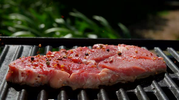 Spices Falling on a Steak in Slow Motion Close-up