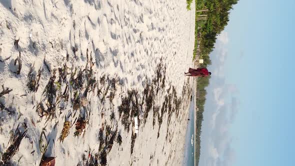 Zanzibar Tanzania  Vertical Video of a Coastal Landscape Slow Motion