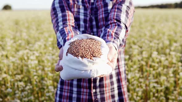 An agronomist in a buckwheat field with a bag of buckwheat in his hands.