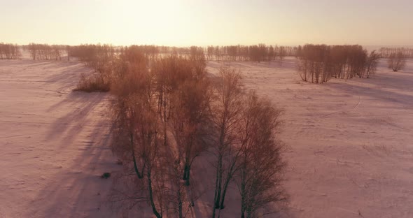 Aerial Drone View of Cold Winter Landscape with Arctic Field, Trees Covered with Frost Snow 