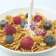 Pouring Milk Into Corn Flakes With Raspberry In A Bowl - VideoHive Item for Sale
