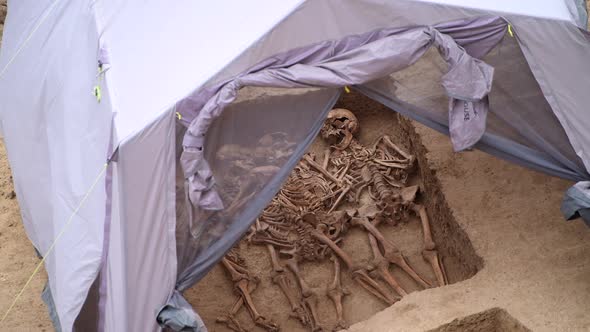 Archaeological Site with Skeleton in Grave in Good Condition From Archaeological Excavations of