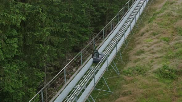 Motion Along Bobsleigh Track Past Green Forest Landscape