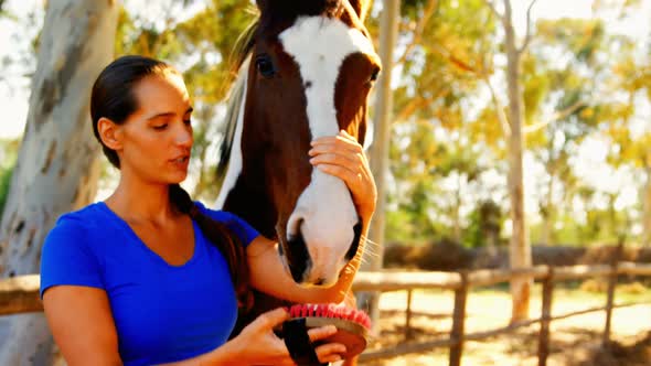 Woman grooming the horse in ranch 4k