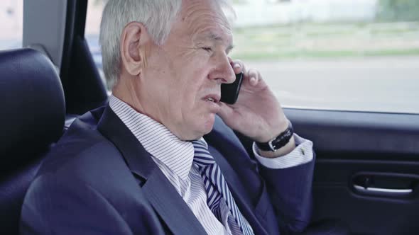 Businessman in Car Calling Partners