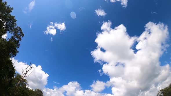 timelapse in the jungle sky. bright daytime full of clouds