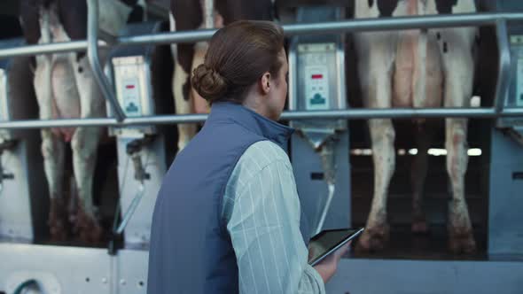 Livestock Worker Inspecting Milking Machinery Closeup