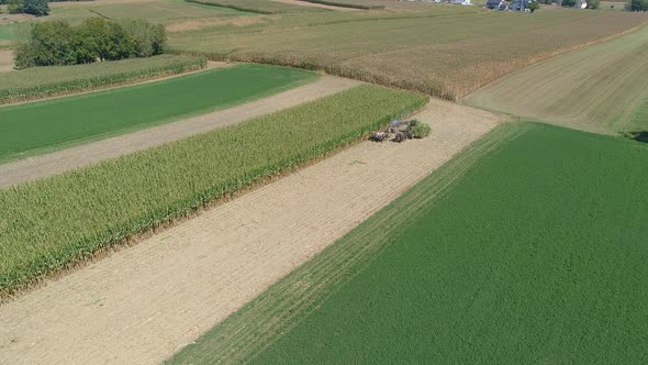 Amish Family Farm Harvesting it's Corn Crop 
