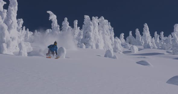 Downhill Skier- Weaving Through Snow Covered Treetops