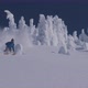 Downhill Skier- Weaving Through Snow Covered Treetops - VideoHive Item for Sale