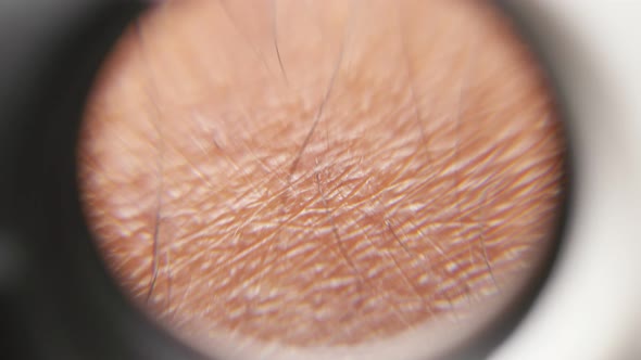 Human Skin Texture