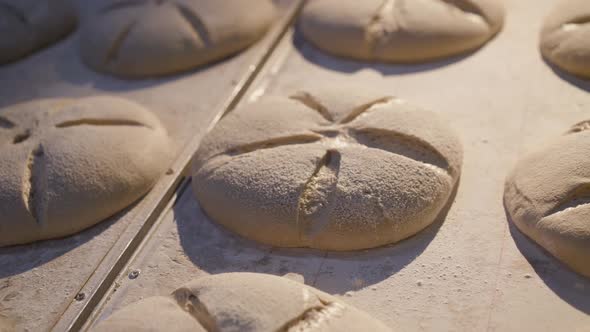 Background of Freshly Baked Loaves of Tasty Bread on Table Under Light at Bakery