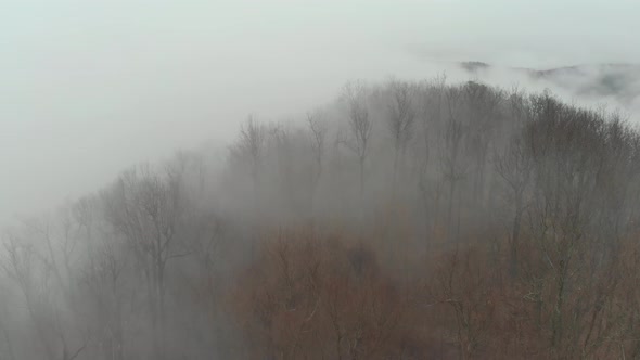 Aerial Flying Above Forest With Heavy Fog