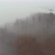 Aerial Flying Above Forest With Heavy Fog - VideoHive Item for Sale