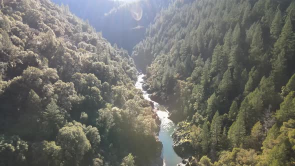 Realtime drone footageing through a forest lined valley gorge, with flowing river at the base, South