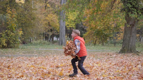 Boy Runs Through a Cloud of Floating Autumn Yellow Leaves.