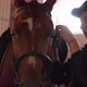 Woman Putting Stirrup on Horse at Horse Farm - VideoHive Item for Sale