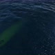 Crashed Plane In Underwater - VideoHive Item for Sale