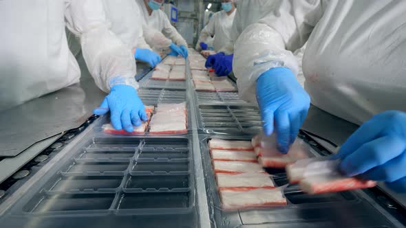 Plastic Plates Are Getting Filled with Crab Sticks in Polyethylene. Factory Workers in Protective