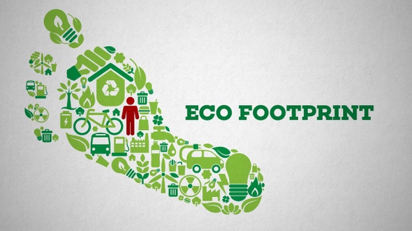 Eco Footprint With Type