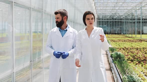 Two Researchers in Laboratory Robes Walk Around the Greenhouse. They Discuss the Success of Doing