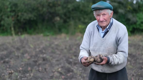 Old Village Worker Holding Potatoes in His Hands