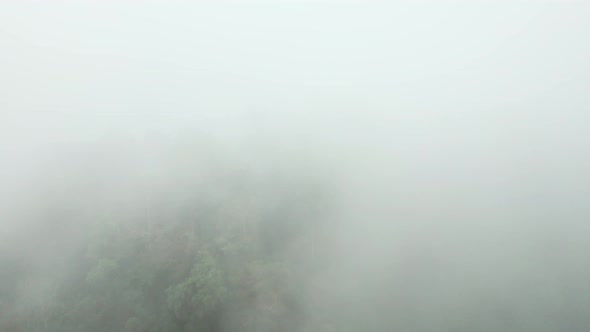 Fly over tropical forest mountains covered with dense fog mist in Koh Samui, Thailand