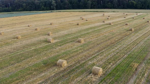 Yellow Stack Of Hay