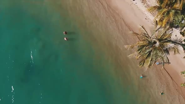 Above tropical beach with people swimming in azure water sea