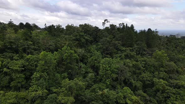 Drone orbiting around a mountain covered by thick rainforest and a building on top of a hill in cent