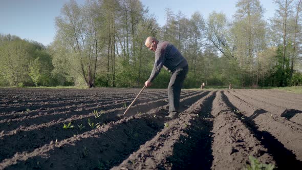 The Peasant Works in the Field