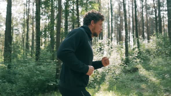 Slow Motion Shot of Man Running Through Pine Forest on Path in Woods. Runner Training Fitness