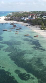 Vertical Video of the Ocean Near the Coast of Zanzibar Tanzania