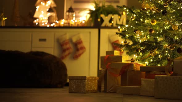 Girl Opening Christmas Present