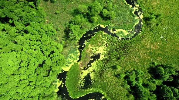 Top view of small river and blooming algae, aerial view