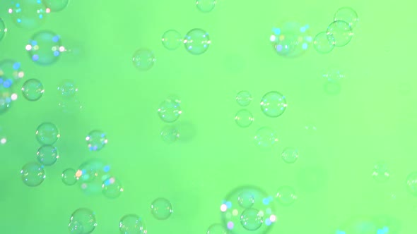 Blue and Clear Soap Bubbles on Light Green, Background