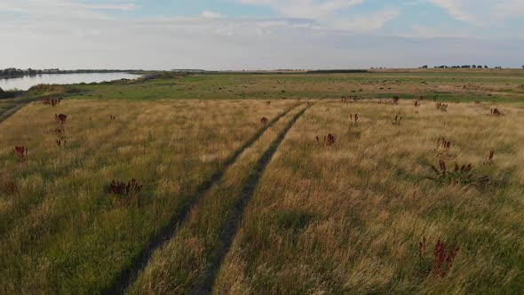 Floodplains of the Vistula River.