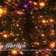 Fantasy Garden - VideoHive Item for Sale